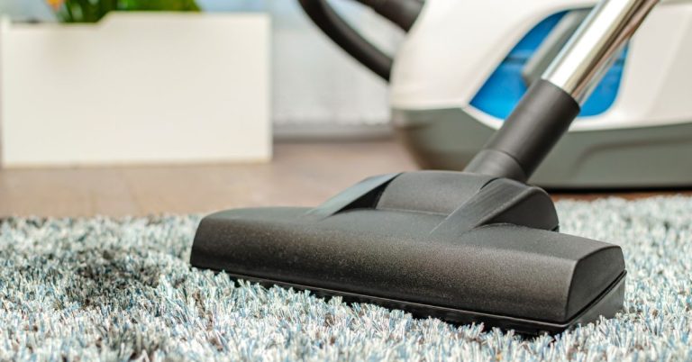 Best Vacuum Cleaner for Home: Wet and Dry Options Explained